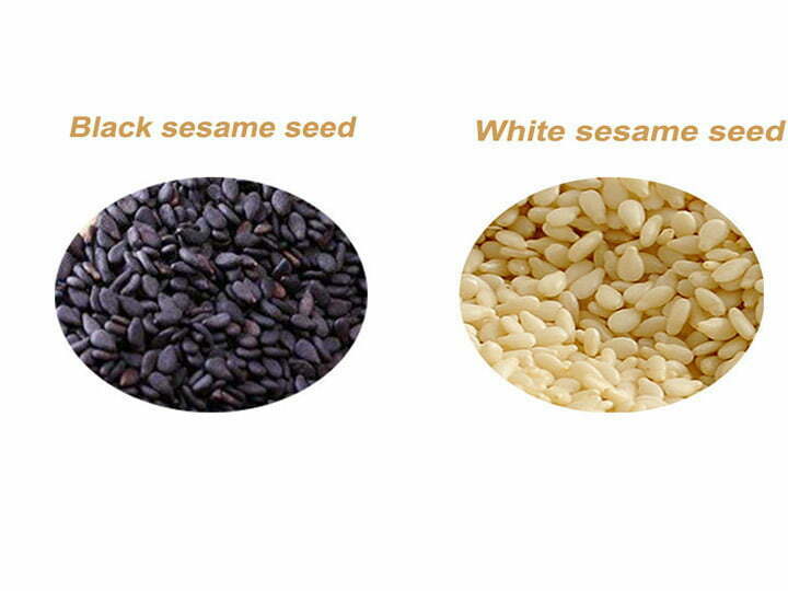 Sesame-seed-of-two-kinds